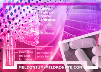 meldonium online